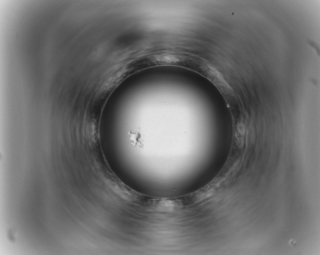 X0000096200330200801251018