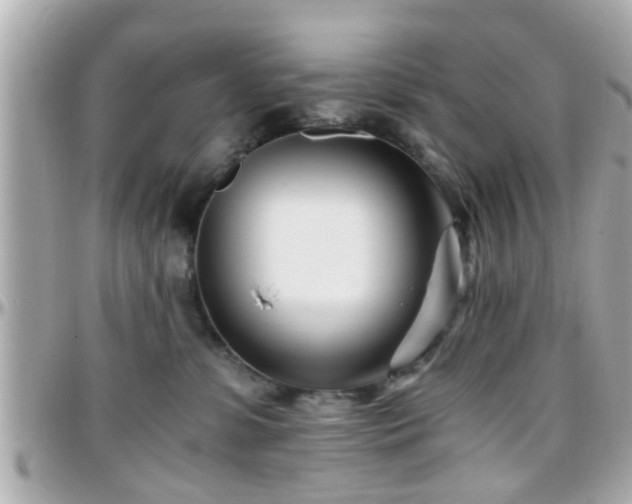 X0000096200331200801251018