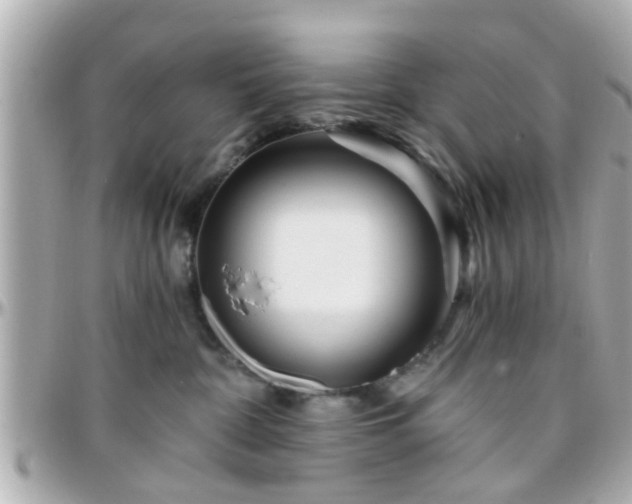 X0000096200332200801251018