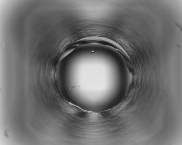 X0000096200333200801251018