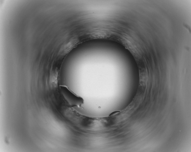 X0000096200334200801251018