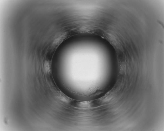 X0000096200335200801251018