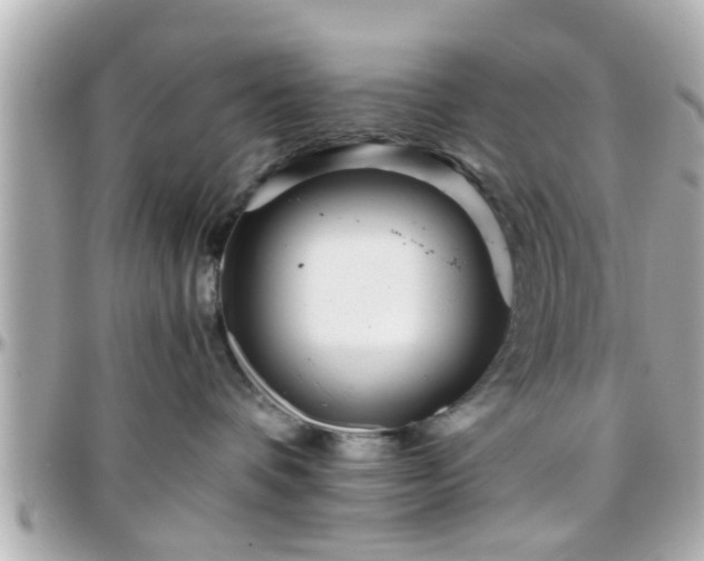 X0000096200336200801251018