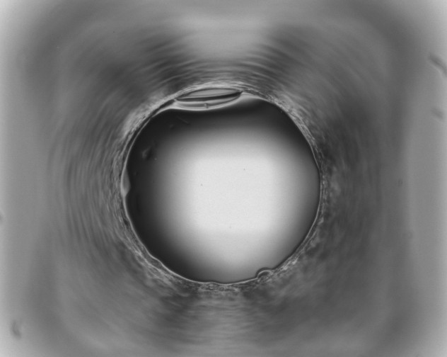 X0000096200337200801251017