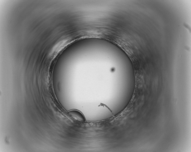 X0000096200338200801251017