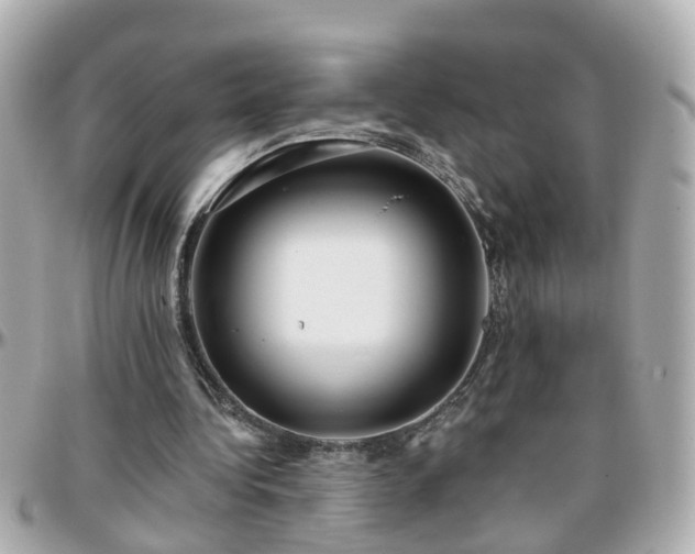 X0000096200340200801251017