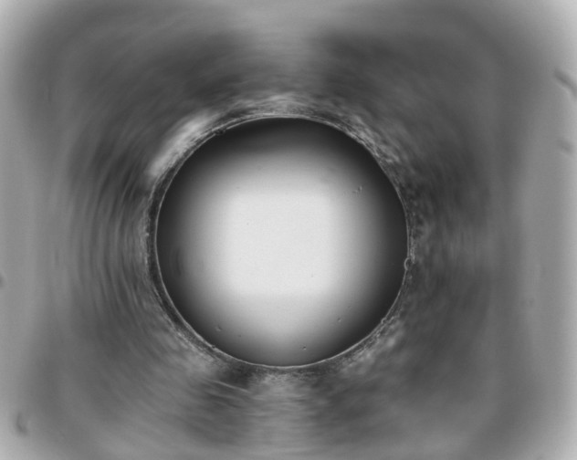 X0000096200341200801251017