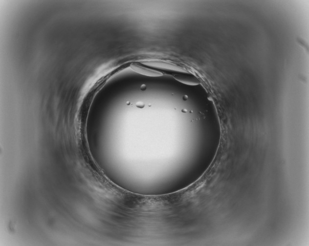 X0000096200343200801251017