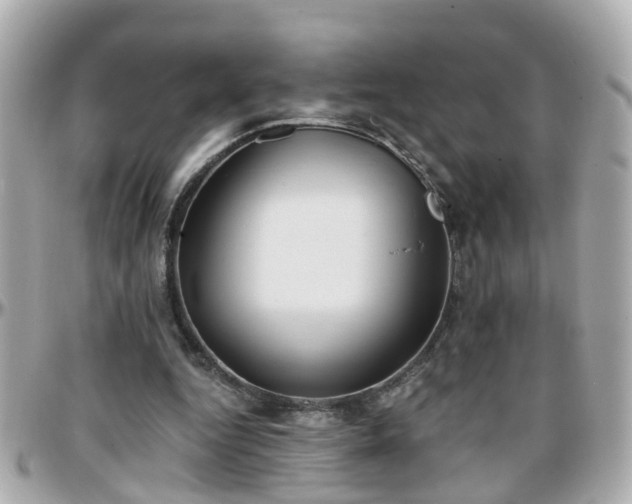 X0000096200344200801251017