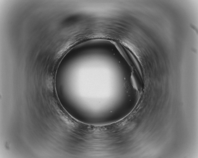 X0000096200345200801251017