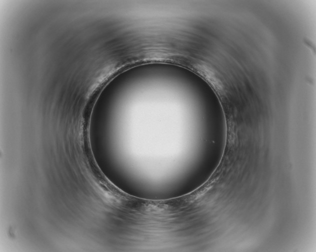 X0000096200346200801251017