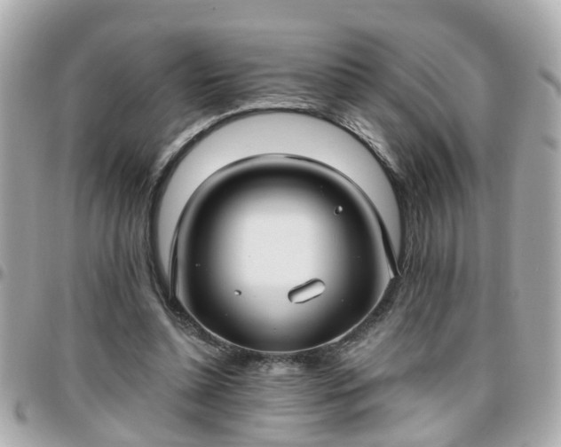 X0000096200348200801251017