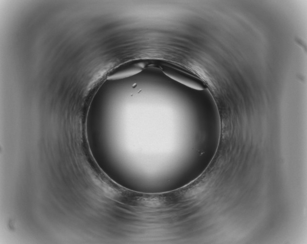 X0000096200349200801251017