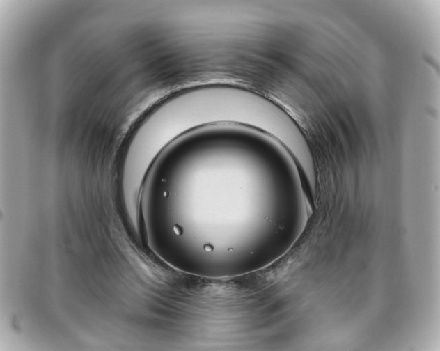 X0000096200350200801251017