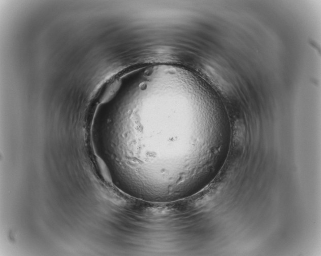 X0000096200351200801251017