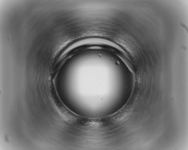 X0000096200352200801251017