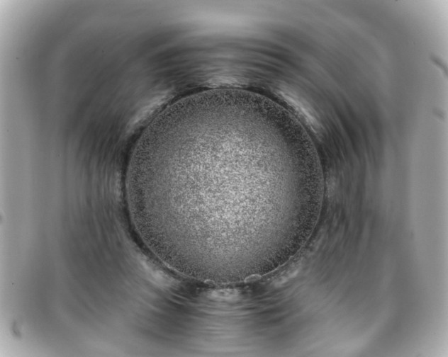 X0000096200353200801251017