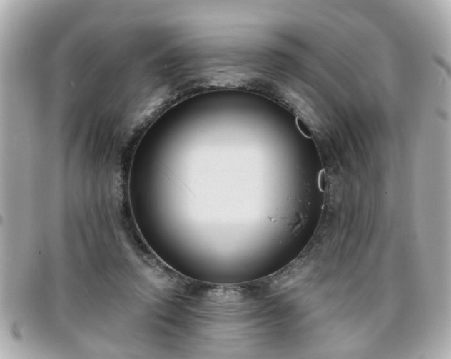 X0000096200354200801251017