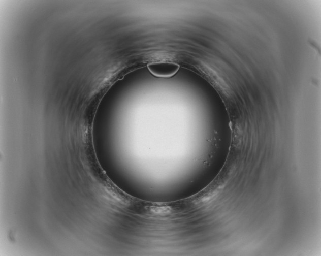 X0000096200355200801251017