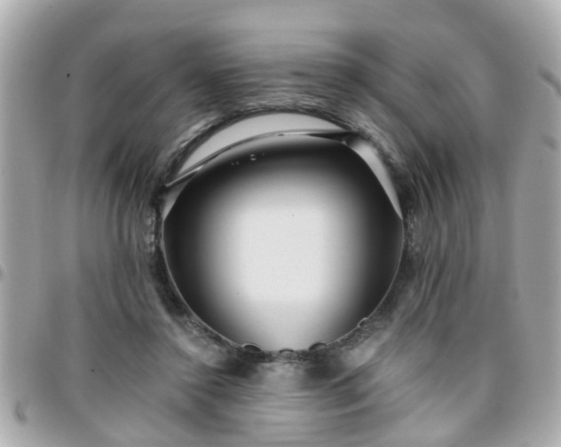 X0000096200356200801251017