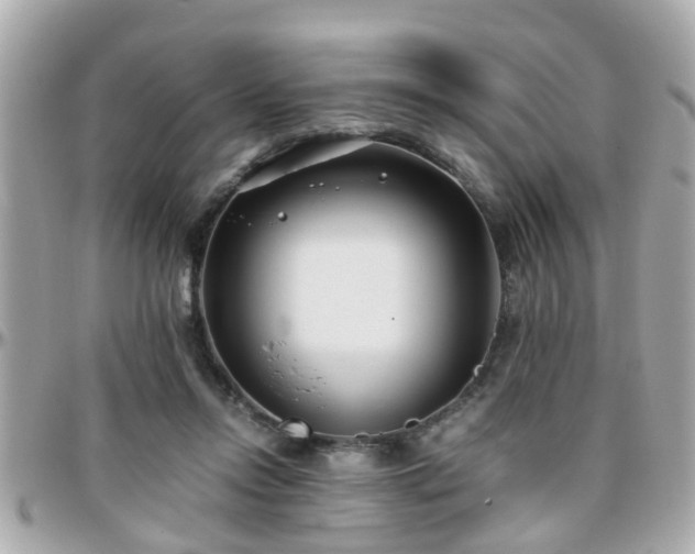 X0000096200358200801251017