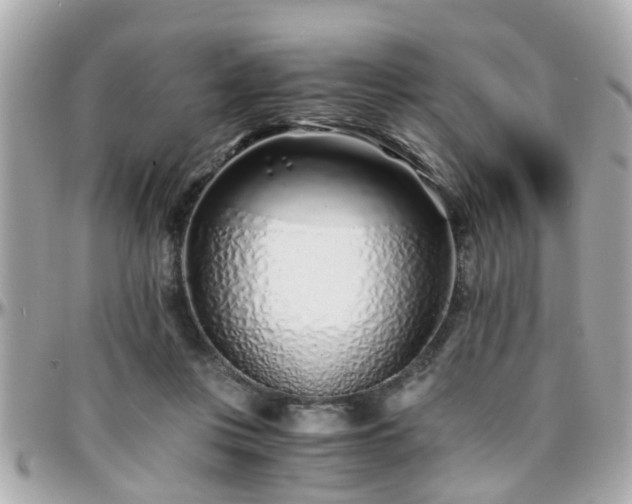 X0000096200359200801251017