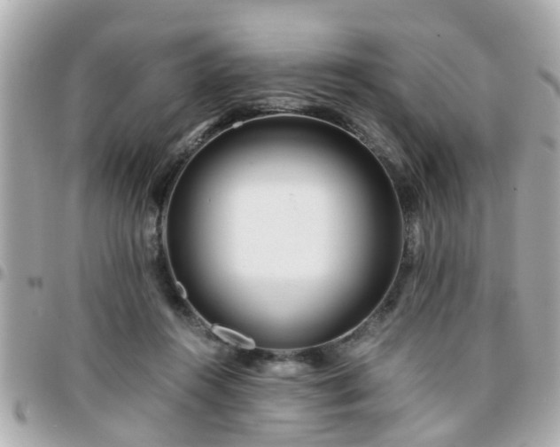 X0000096200360200801251017