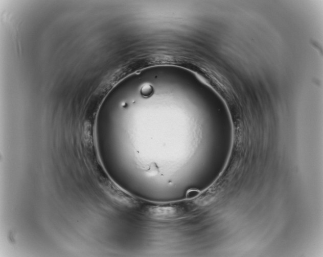 X0000096200361200801251017