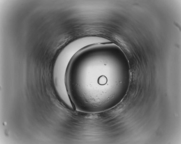 X0000096200362200801251017