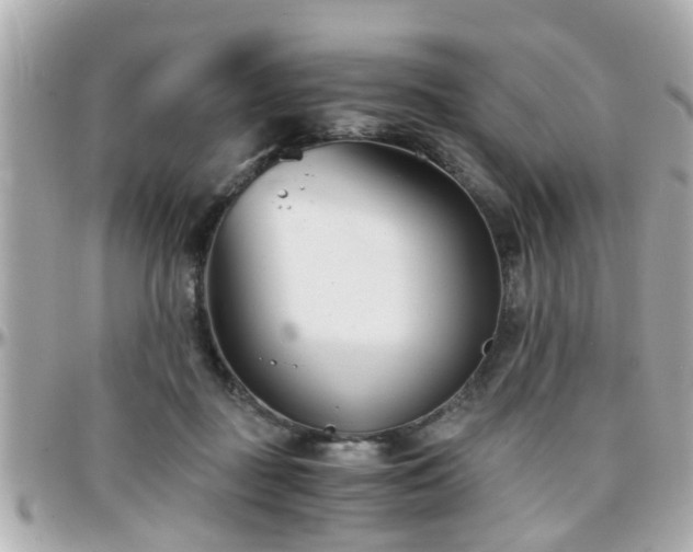 X0000096200363200801251017