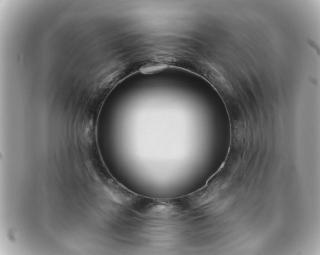 X0000096200364200801251017