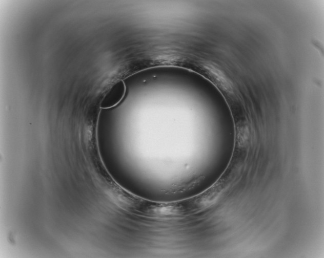 X0000096200365200801251017