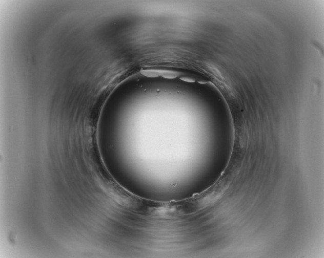 X0000096200366200801251017