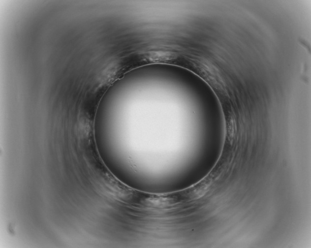 X0000096200367200801251018