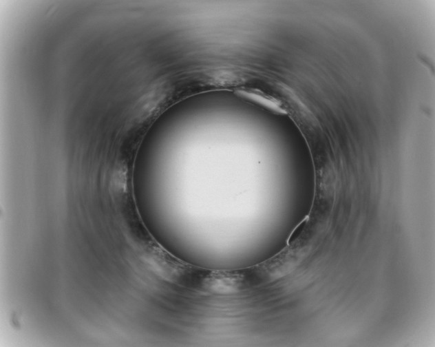 X0000096200368200801251018