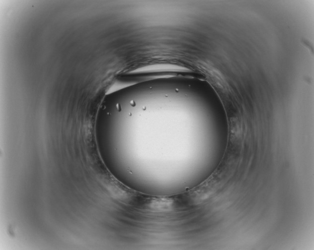 X0000096200369200801251018