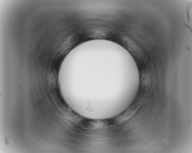 X0000096200370200801251018