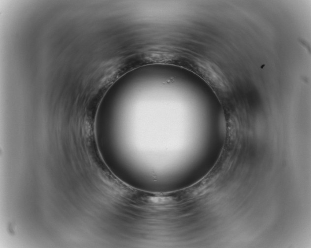 X0000096200371200801251018