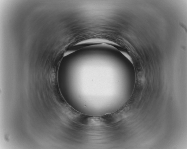 X0000096200372200801251018