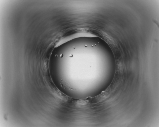 X0000096200373200801251018