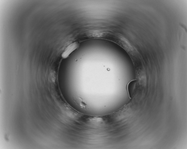 X0000096200374200801251018