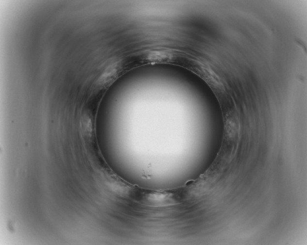 X0000096200375200801251018