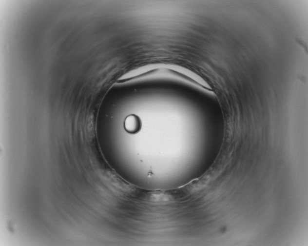 X0000096200376200801251018