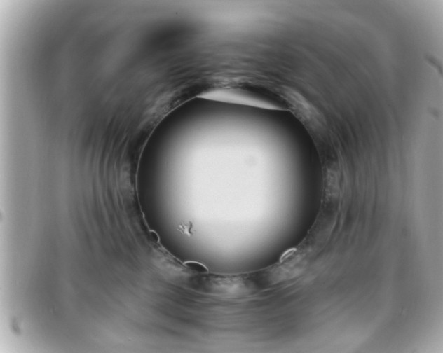 X0000096200377200801251018