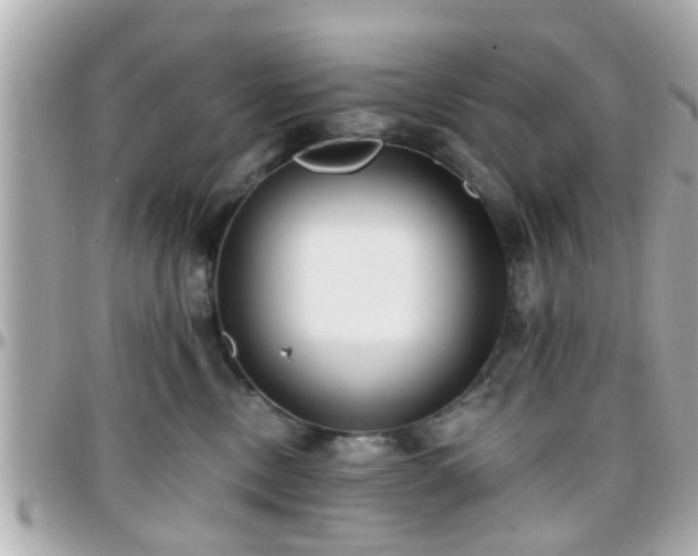 X0000096200378200801251018