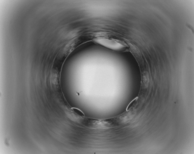 X0000096200379200801251018