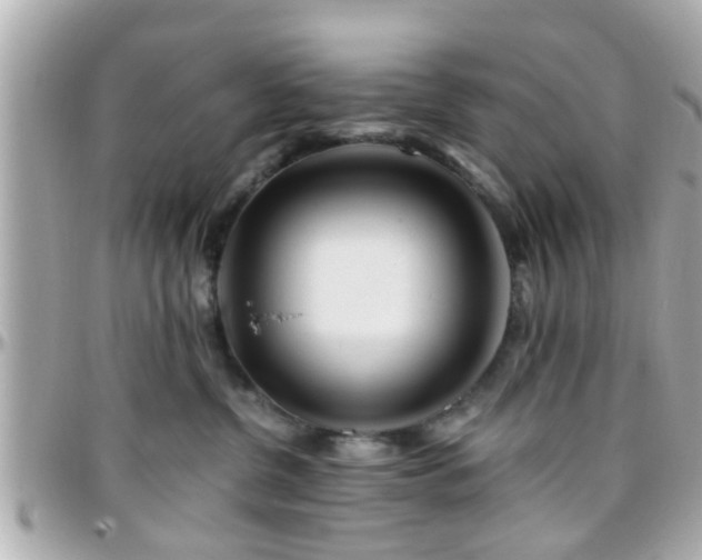 X0000096200380200801251018