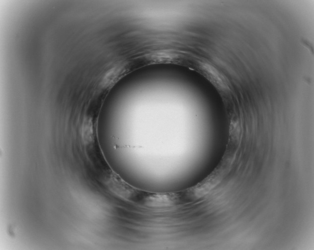 X0000096200381200801251018