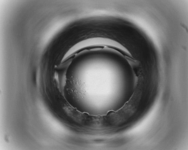 X0000096200382200801251018