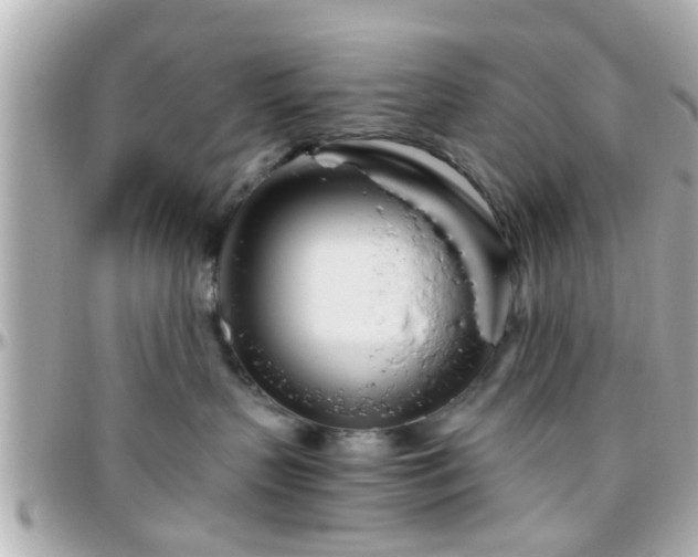 X0000096200383200801251018